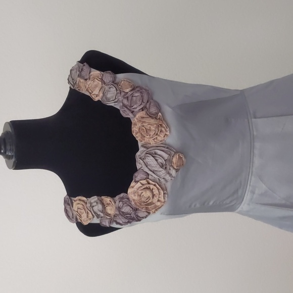 BARASCHI for ANTHROPOLOGIE Slate shift dress size 4 with pockets! - Picture 2 of 11